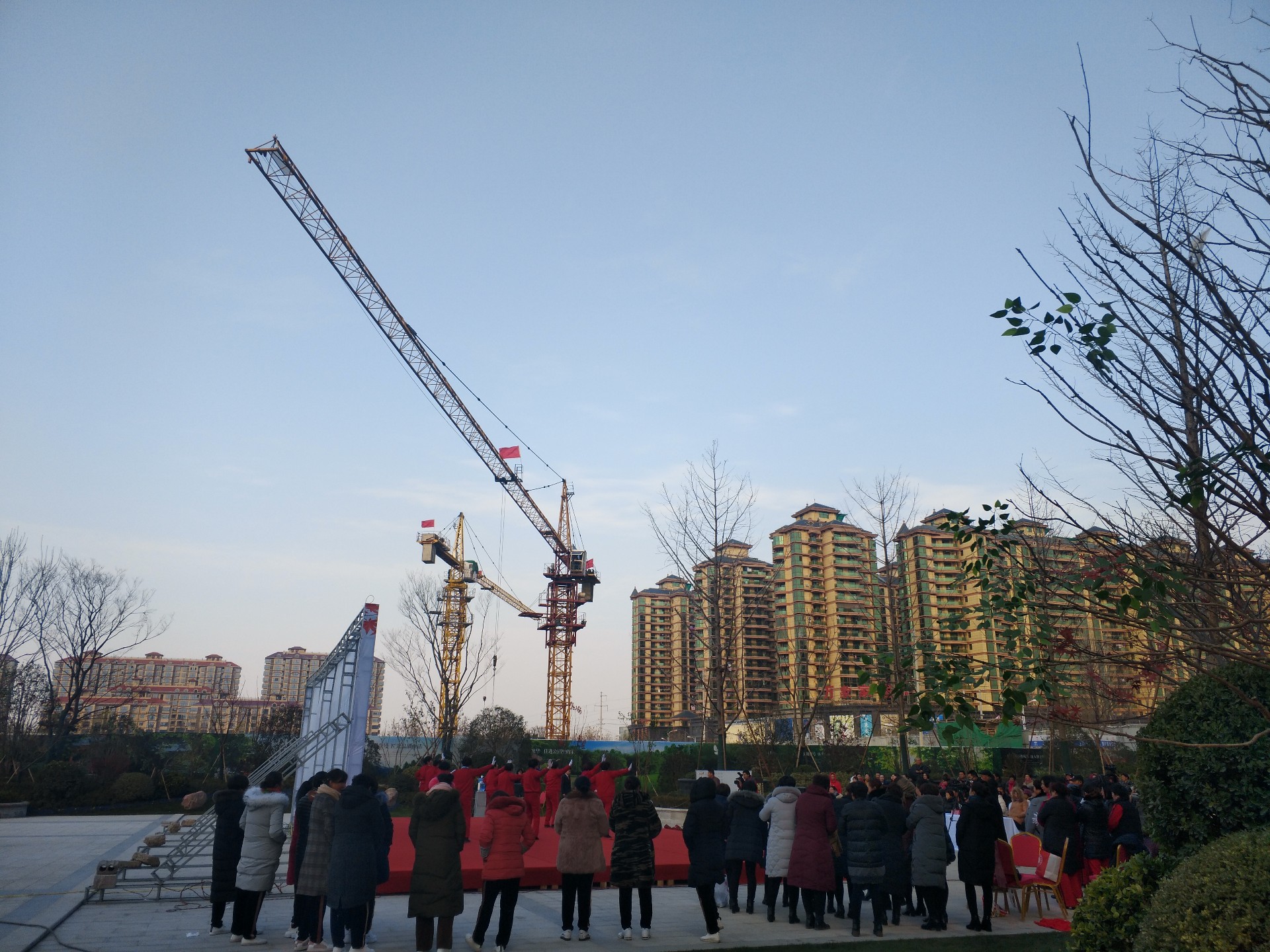 容湖壹號(hào)塔式起重機(jī)